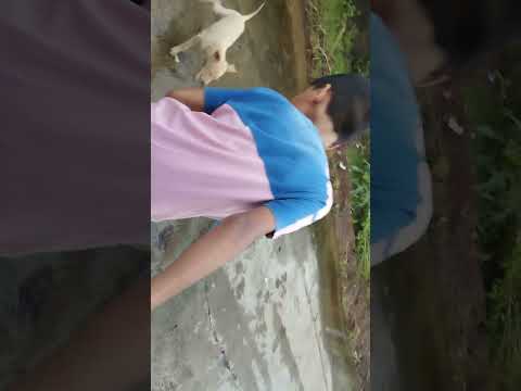 Puppy dog is playing with gowtham