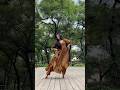 O Re Piya Trending Tanya Bansal Dance Viral Trend Trendingshorts Viralshort Ytshorts