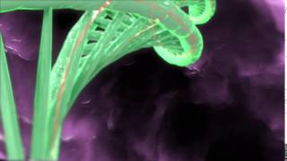 30-day Short-animation-a-day Challenge: Day 17