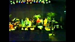 FROM THE LONELY AFTERNOON