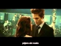 Flightless bird (American Mouth) Subtitulada al ...