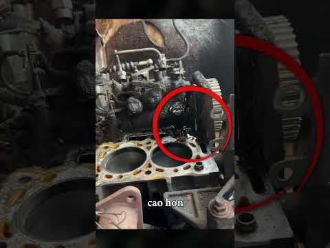 Lý Do Bạn Không Nên Lái Xe Ngay Sau Khi Khởi Động | Xi Bát Tô 2 #short #shorts