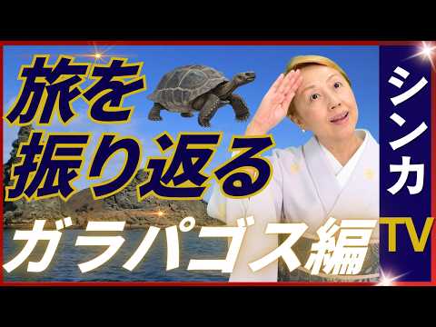 【🇪🇨旅する振り返り】ガラパゴス｜島を守る厳重なチェック体制｜南米乗り換えのリアル【旅するシンカナース】【シンカTV】