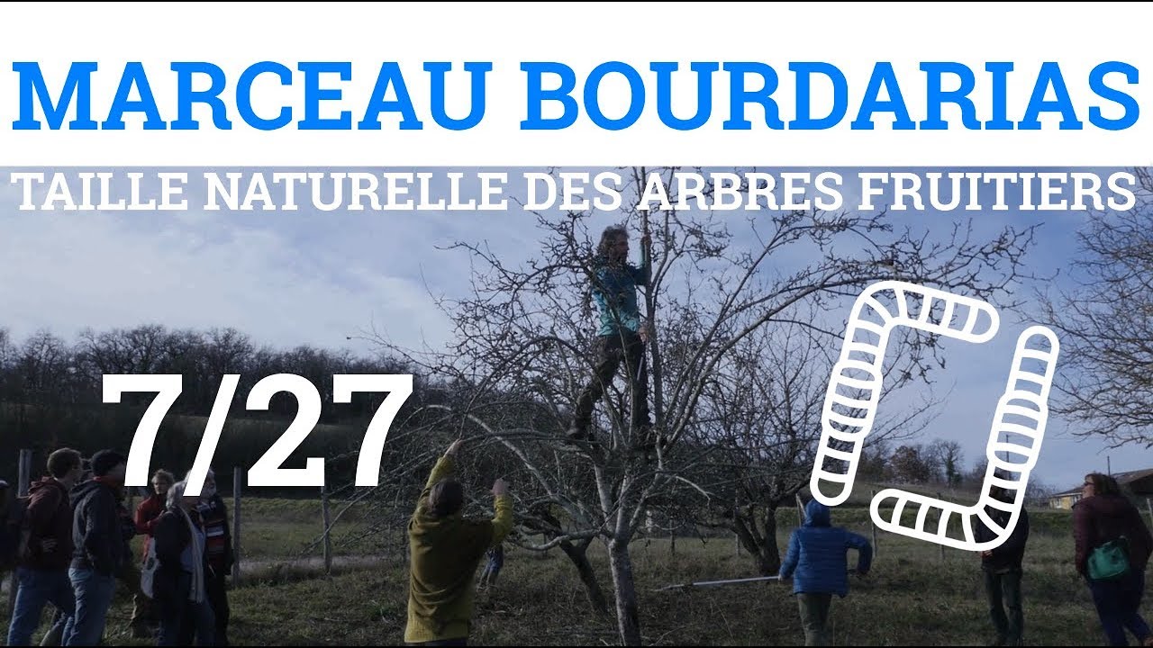 7/27 - M.BOURDARIAS - Taille Naturelle des Arbres Fruitiers - Développement Architectural