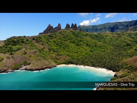 TDM - MARQUESAS  Dive trip