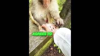 This Monkey Is So Kind🥹
