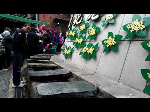 Viagem de um dia à peregrinação final de Nanzhuang_2017_Chanyukeng (Guihua Lane).