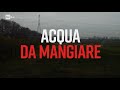 Acqua da mangiare - PresaDiretta 13/02/2023