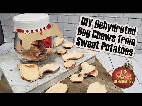 YouTube video about: How to dehydrate sweet potatoes for dogs?