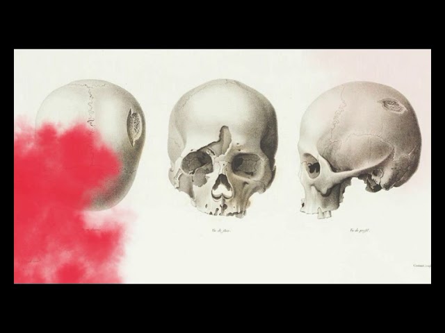 Vídeo relacionado con Novelas (Colección Biblioteca Nacional de España)