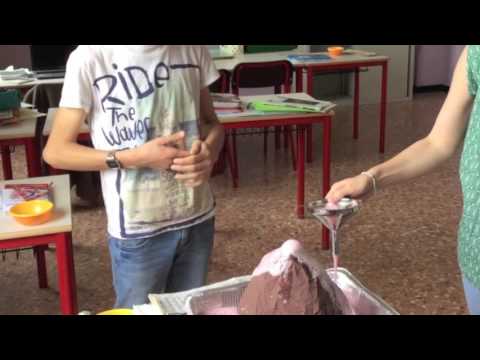 Il vulcano: esperimento scientifico sull'eruzione vulcanica.