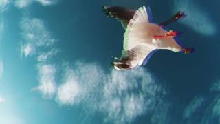 Frank Carter & The Rattlesnakes - 12 Days Of Ruin - Bluebelle