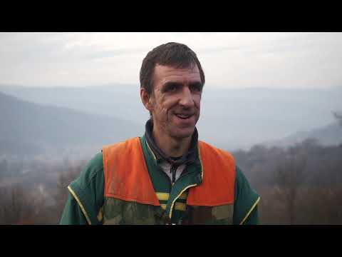 Autohtone vrste Srbije ep. 46 - 16.01.2020. - Domaći brdski konj