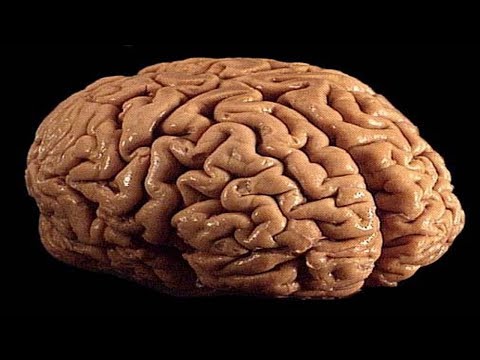download lagu mp3 mp4 Energy Foods For Studying, download lagu Energy Foods For Studying gratis, unduh video klip Energy Foods For Studying