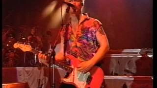 Die Toten Hosen - 1000 Gute Gründe (Live 1993)