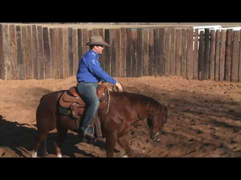 Casey Deary Bend And Flexion