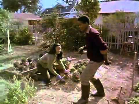 Why Do Fools Fall in Love Movie Trailer