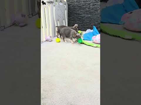 Video 2