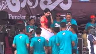 Download lagu Any Arlita- Terali besi New Pallapa mp3 Download lagu Any Arlita- Terali besi New Pallapa mp3