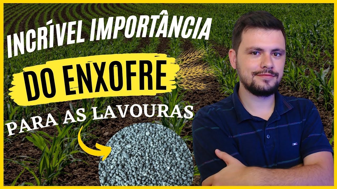 A incrível importância do ENXOFRE para as lavouras