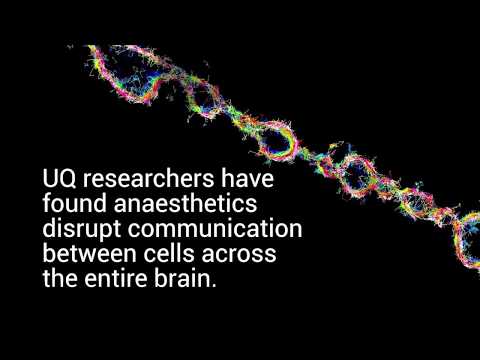 General anaesthetics do more than put you to sleep