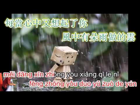 Feng zhong you duo yu zuo de yun - 风中有朵雨做的云 - karaoke
