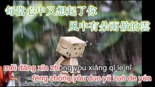 Tình như gió như mưa - 风中有朵雨做的云 - karaoke