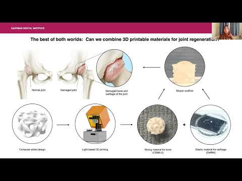 Fiona Verisqa - 3 Minute Thesis presentation 2022