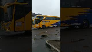 Download lagu pesona jalur selatan bus efisiensi@YouTube #500subs #efisiensi #busefisiensi mp3 Download lagu pesona jalur selatan bus efisiensi@YouTube #500subs #efisiensi #busefisiensi mp3