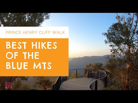 Caminhadas nas Montanhas Azuis - Caminhada no Penhasco do Príncipe Henry