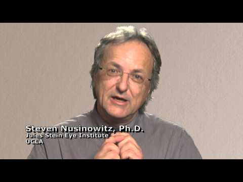 What is Stargardt Disease?