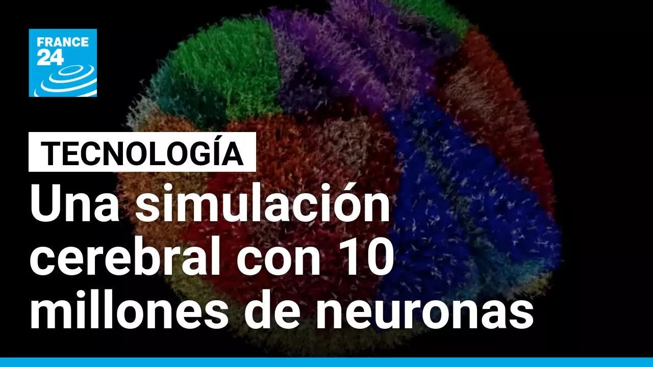 Así funciona el cerebro digital 