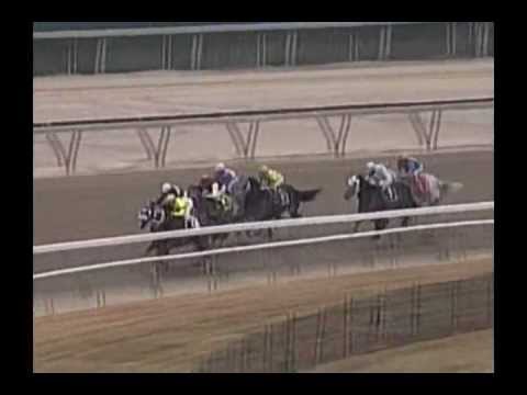 2007 Stymie Handicap - Evening Attire