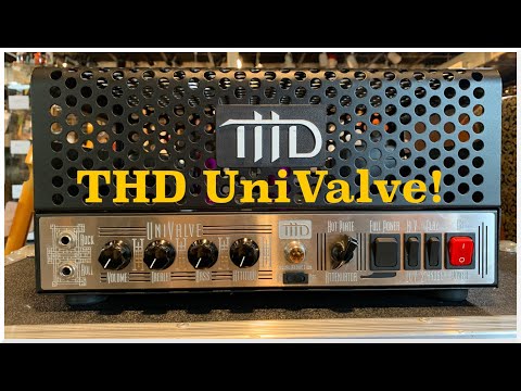 THD UniValve Class-A 15-Watt Tube Guitar Head 2000s - Black and Silver image 10