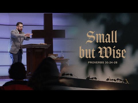 Small but wise | Proverbs 30:24-28 | Ps. Henry Cruz
