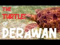 The Turtles of Derawan Island