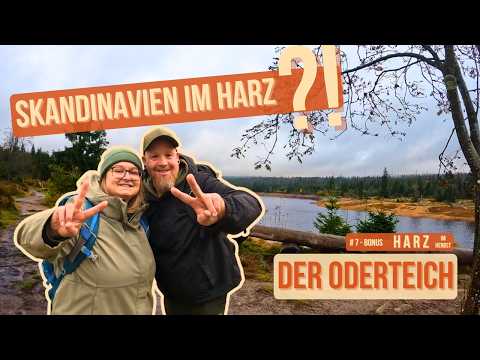 Scandinavia in the Harz Mountains?! – The Oderteich | Bonus Episode: The Harz Mountains in Autumn