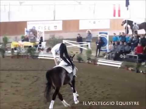 CVI Portogruaro 2016 - Volteggio - Ind 2* j M - 4° Jannik Liersch