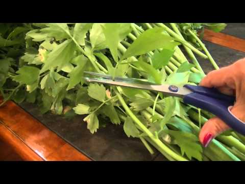 Lovage - Harvesting and Dehydrating