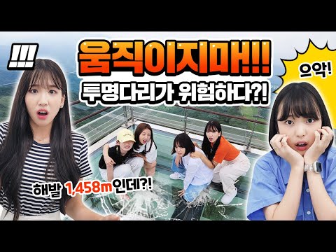 엄마 없이 비타민 멤버들끼리만 여행을 떠났어요! 그런데... 첫날부터 위기..? 여름휴가 1일차 스카이워크에 올라간 멤버들에게 무슨일이..?｜용평리조트 스카이워크｜클레버TV