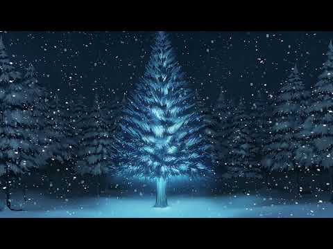 Зимний лес со снегом, видеофон, футаж/ Winter forest with snow, videophone, footage
