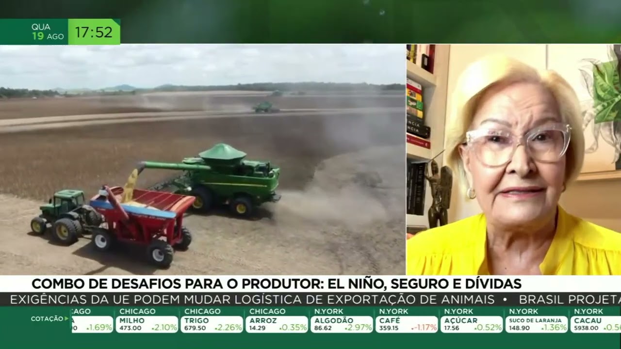 Combo de desafios para o produtor: El Niño, seguro e dívidas