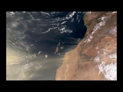 001 Michael Cretu   Send me a sign