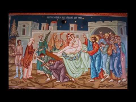 ÎPS Bartoloma Anania - Predică la Duminica a 20 a după Rusalii   Învierea fiului văduvei din Nain
