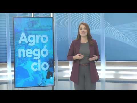 CNT Notícias BA de 20/08/2026 na Íntegra