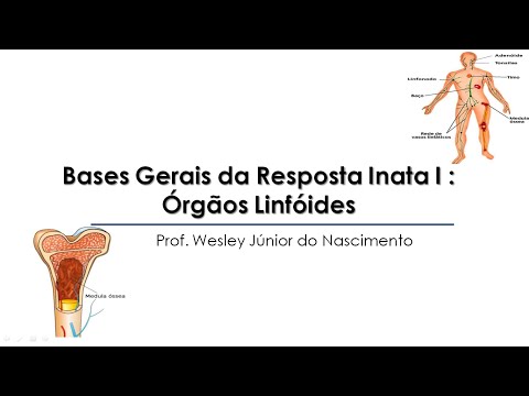 Aula 02- Imunologia Básica -Órgãos Linfoides