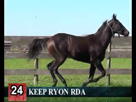 Lote 24- KEEP RYON RDA -- RINCON DEL AGUARA – LOS MONTEROS - 2017