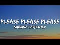 Sabrina Carpenter Please Please Please Lyrics