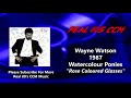 Wayne Watson - Rose Coloured Glasses  (HQ)