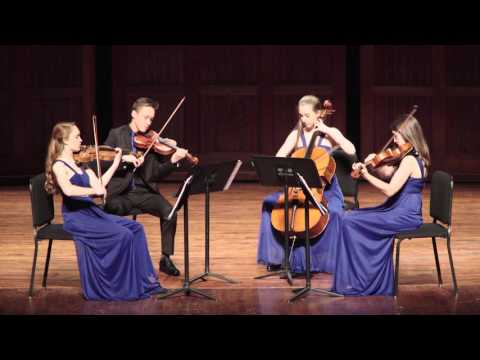 CMC: Woodstone Quartet @ the Southern Theater 11/16/16